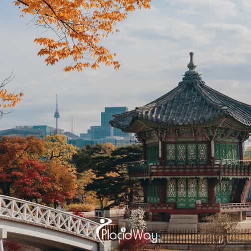 Rise of Gangnam Medical Tourism Hub: Patients from USA, Thailand & More
